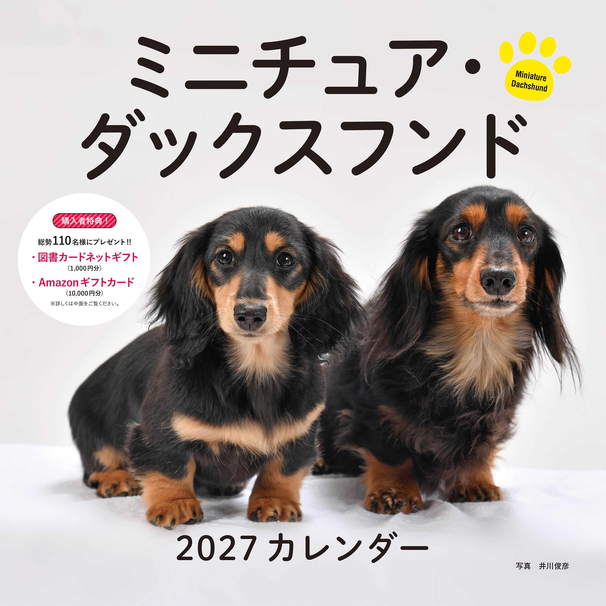 2027年カレンダー ミニチュア・ダックスフンド（誠文堂新光社